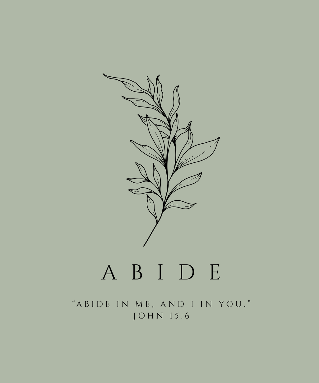 ABIDE t-shirt