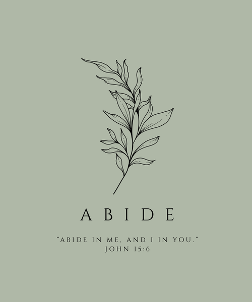 ABIDE t-shirt
